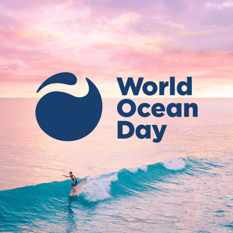 Water Nomads New Zealand | World Ocean Day 2023