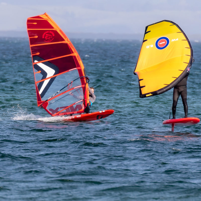 Windsurfer and Wingfoiler in Northland New Zealand