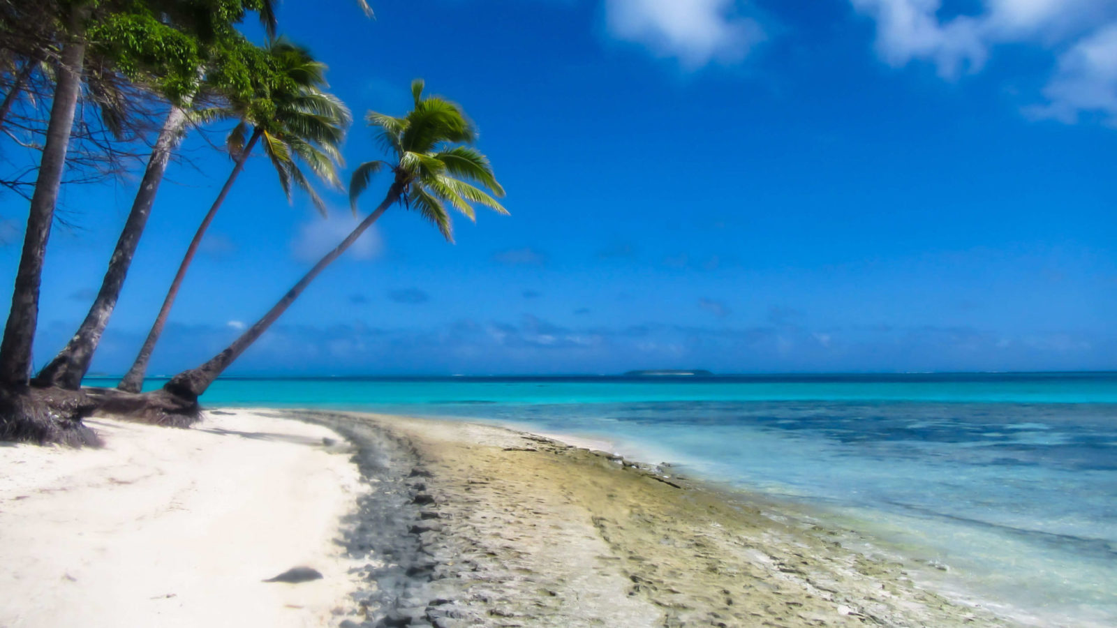 Dream Beach Tonga